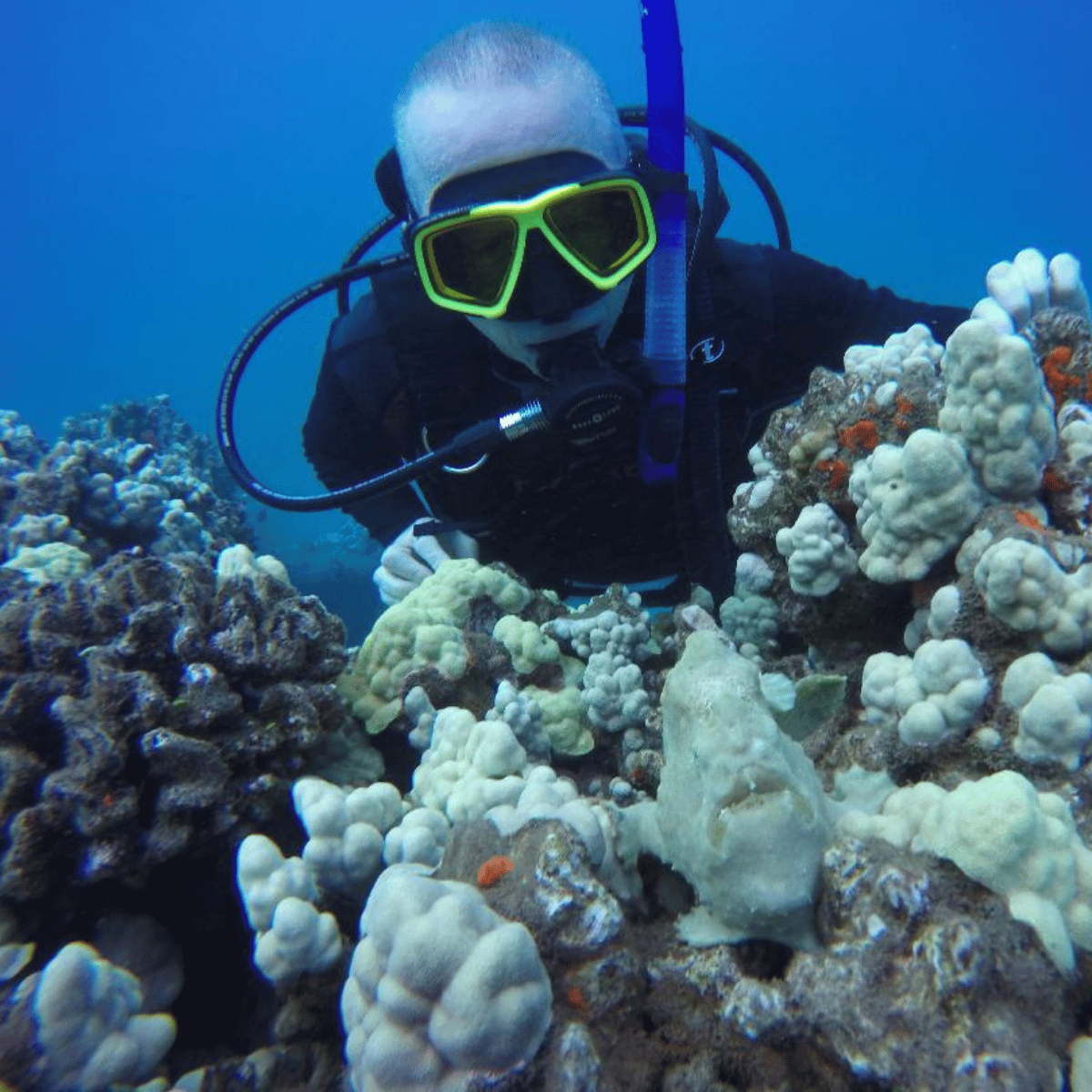 Correct your vision underwater with SeaVision's MaxVision prescription lenses in your diving or snorkel mask