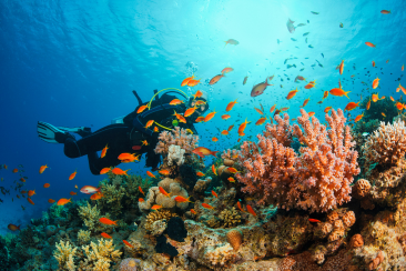 Scuba Mask for prescription changes with astigmatism