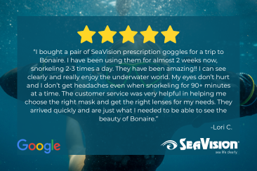 SeaVision prescription mask review